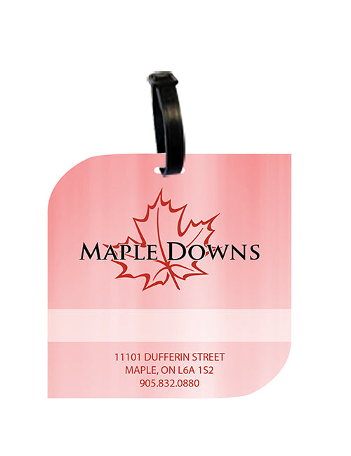 Moon Image ST Bag Tag | #5025G