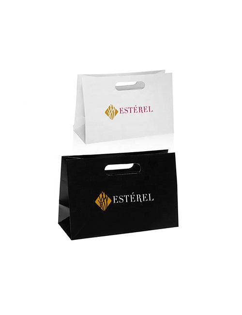 Art Paper Bag with Die Cut Handle - 10" x 4" x 6" - #8004 - JLC Golf Shop